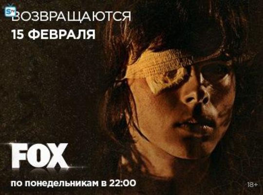 carl-affiche-russe-borgne-saison-6-the-walking-dead