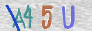Code Anti-spam