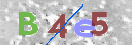 Code Anti-spam