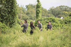 photos-promos-The-Walking-Dead-Saison-7-Episode-9-pic13